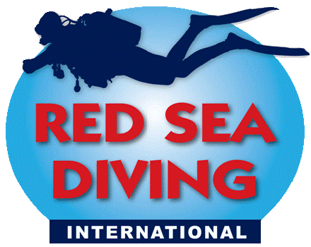 Ga naar onze andere website voor Red Sea Divers International